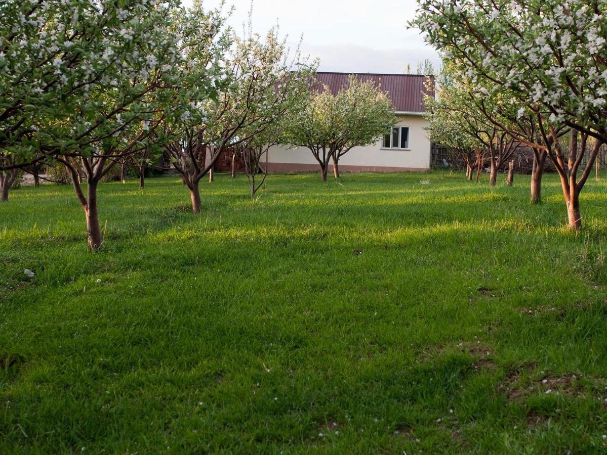 Barskoon Guest House Dış mekan fotoğraf