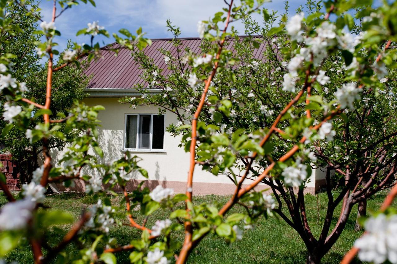 Barskoon Guest House Dış mekan fotoğraf